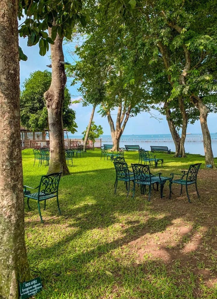 A Romantic Gateway in Kumarakom - Kumarakom Lake Resort