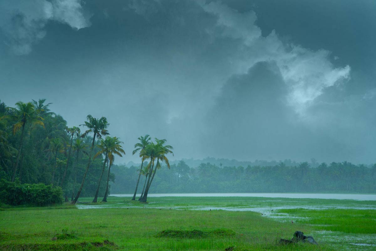 Perennial Romances: Mapping The Rain Trails Through Kumarakom Lake Resort