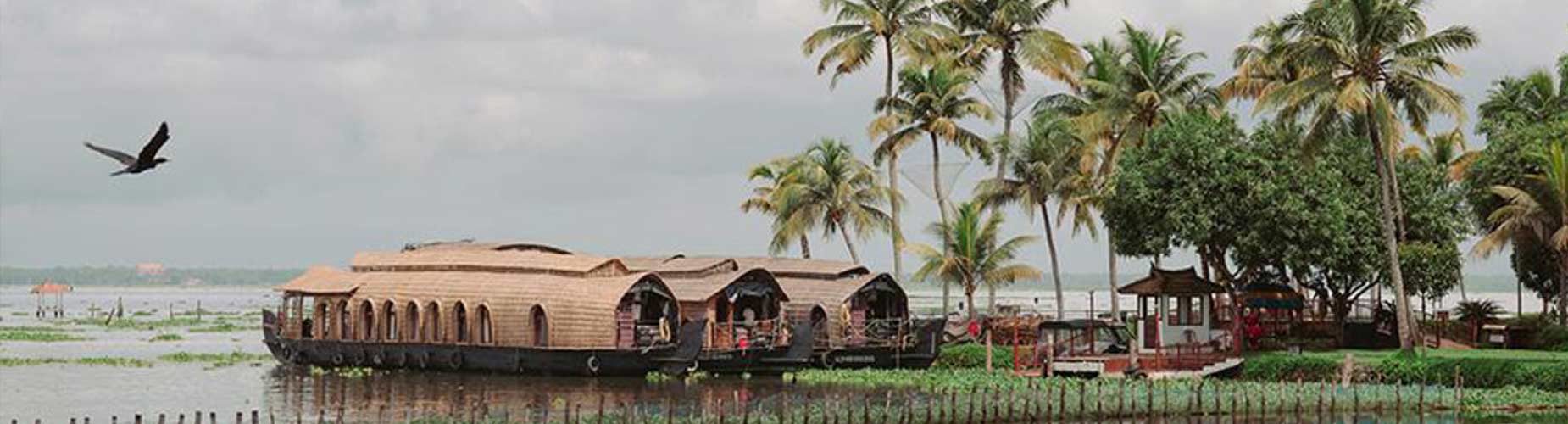 Framed by tranquil backwaters, this cross-cultural wedding came alive with the culture and verdant beauty of Kerala!