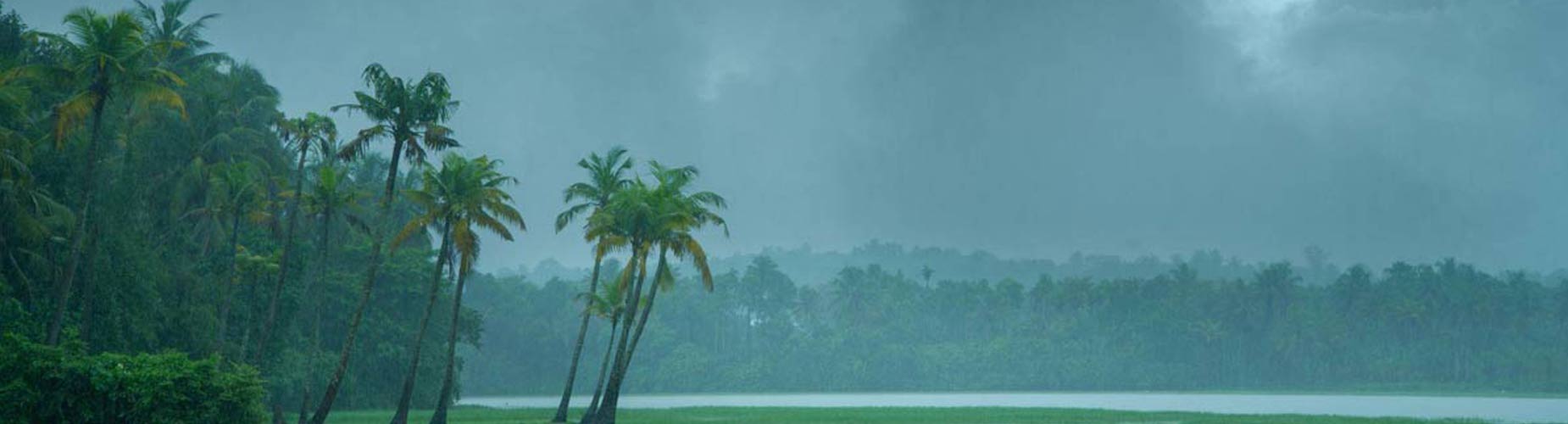 Perennial Romances : Mapping The Rain Trails Through Kumarakom Lake Resort
